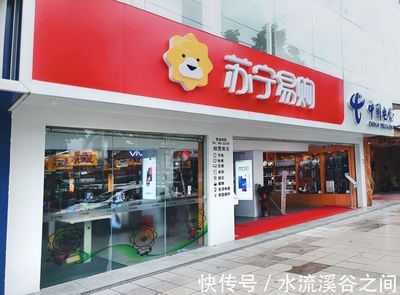 苏宁易购.购物论中文域名对品牌的重要性与优点